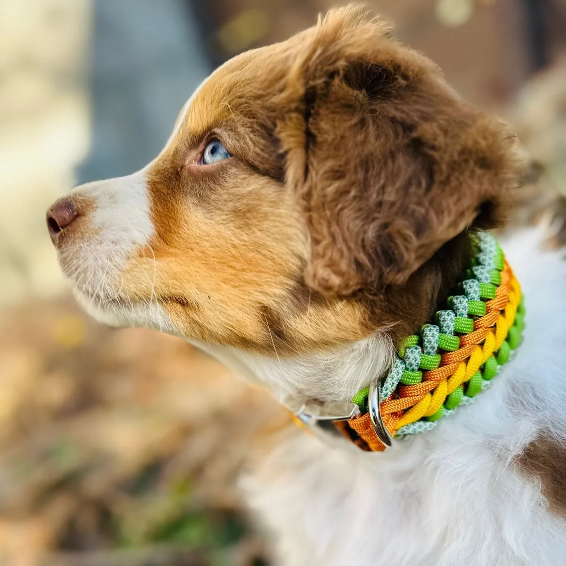 Metal toka ile küçük veya orta irkları el yapımı dokuma eğitim pet yaka köpek tasması için şık paracord köpek tasması