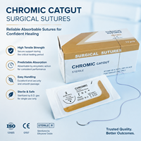 Sutures chirurgicales stériles résorbables en catgut chromique uni pour la cicatrisation des plaies chez les animaux de grande taille et les chiens – Approvisionnement direct usine