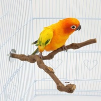 Perchoirs en bois naturel pour oiseaux, supports de cage à oiseaux, jouets perchoirs pour oiseaux, plateformes et branches pour le ponçage des griffes des perroquets