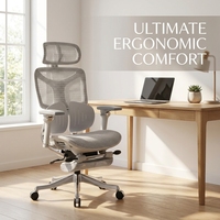 Chaise d'ordinateur AOR avec cadre en fibre de nylon, appui-tête 4D Xiaoyao, châssis multifonctionnel inclinable vers l'avant, vente en gros d'usine