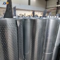 Bobine perforée en acier inoxydable, tôle perforée pour écran filtrant, applications industrielles