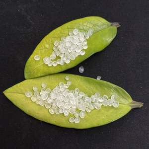 Meltblown Fabric Raw Materials Modified Polypropylene Granules PP <b>Plastic</b> Resin <b>Pellets</b> - Product Image 2