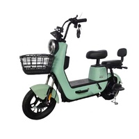 Meilleure qualité 48V 60V vélo de ville gros pneu vélo électrique (E-Bike) Style Streetbike