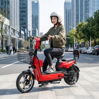 Vélo Électrique Urbain et Trottinette Électrique OEM de Fabrication Chinoise avec Batterie au Plomb-Acide à 3 Vitesses pour Hommes et Femmes, Idéal pour les Trajets Urbains