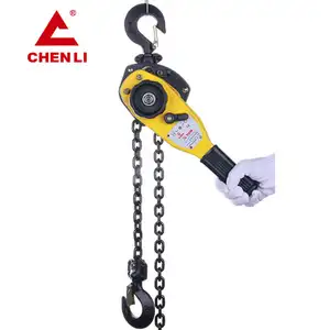 Chất lượng tốt nhất 0.25 tấn đến 5 tấn Mini LEVER Chain hoist/LEVER khối