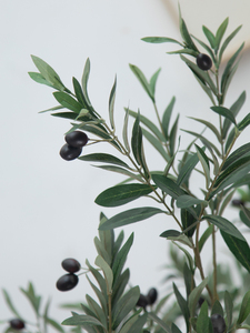 <span class=keywords><strong>Plantas</strong></span> decorativas <span class=keywords><strong>para</strong></span> el hogar, macetas, decoración del hogar - Product Image 6