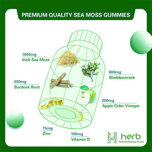 Gomitas de Musgo Marino OEM/ODM, con Vitamina B12, Vitamina B3 y Antioxidantes, Veganas, para el Apoyo de la Salud - Product Image 2