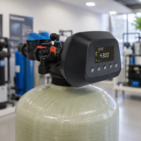 FOBRITE – Vanne de contrôle/adoucisseur numérique 3.5T pour traitement de l'eau par filtration automatique, garantie 1 an, 110V/220V, débit de 3.6cbm/h