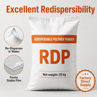 Poudre Polymère Redispersible Séchée par Pulvérisation VAE RDP pour Adhésif Carrelage, Mortier Ciment, Enduit de Finition, Mastic, Autonivelant