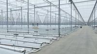 Multi-span grote landbouwkas van polycarbonaat, lage kosten & hoge opbrengst, geschikt voor tomatenteelt