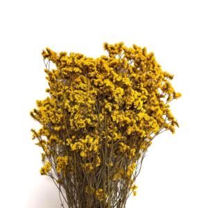 Fourniture <span class=keywords><strong>d</strong></span>'usine : Herbe de cristal stabilisée multicolore, fleur séchée, sans eau, matériau sec pour bouquets de mariage et artisanat en gros - Product Image 4