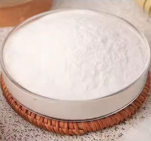 Poudre blanche d'extrait végétal, extrait à base de plantes, pureté 99%, poudre de spicules d'éponge, matière première issue de culture sauvage - Product Image 1