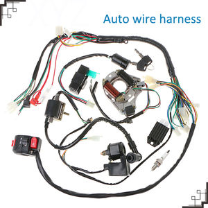 Ls takas kablo demeti üreticileri özel rv tarım kablo demeti - Product Image 3