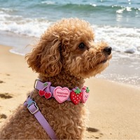 Schattig fruitdecoratie aanpasbare siliconen hondenhalsband waterdicht verstelbaar verwisselbare bedels hondenhalsband voor kleine en middelgrote honden