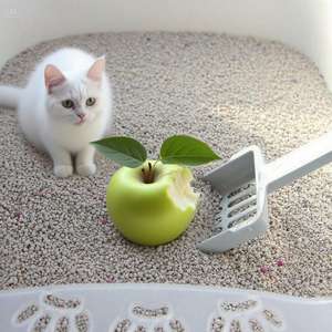 DongnaiPETS OEM ODM Vente en gros d'usine Premium 4kg Kitty Contrôle des odeurs Agglutination rapide Litière pour chat bentonite sans poussière Sable - Product Image 3