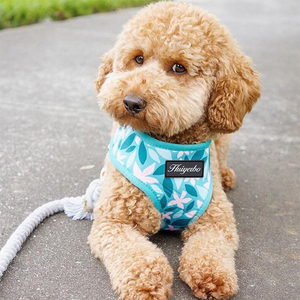 ชุดสายจูงสุนัขแบบปรับได้พร้อมแผ่นรองรับ ลายพิมพ์ดอ<span class=keywords><strong>ก</strong></span>ไม้ Sassy Woof วัสดุนีโอพรีน พร้อมโลโ<span class=keywords><strong>ก</strong></span>้<span class=keywords><strong>ลูก</strong></span>สุนัข สายจูงสุนัขแบบไม่รัดคอ - Product Image 4