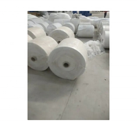 Rouleau de sac tissé en PP du fabricant Rouleau de bâche en plastique bonne flexibilité Rouleaux de tissu tissé en PP