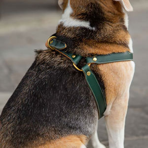 Sản Phẩm Cho Chó Mới Dây Nịt Thú Cưng 2022 Dây Nịt Chó Tùy Chỉnh Bằng Da Thật Thiết Kế Sang Trọng Của Nhà Sản Xuất - Product Image 5