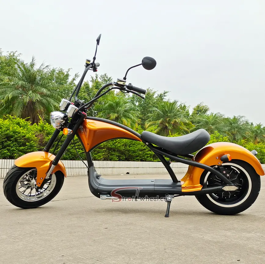 Citycoco Holland 2000W Motor Elektrische Motor 60V 20ah Batterij Elektrische Scooter Citycoco 2000W Citycoco Chopper