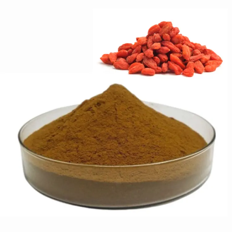 Truyền Thống Trung Quốc Wolfberry chiết xuất 10:1 Goji Berry Bột nước ép trái cây