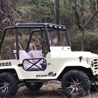 Mini Jeep 4x4 de haute qualité, buggy des dunes, kart à essence 350cc, véhicule de transport spécial