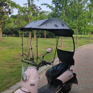 Vente en gros usine : Auvent semi-fermé en fibre de polyester pour voiture électrique, pare-soleil et protection latérale pour voiture à batterie et moto - Product Image 4