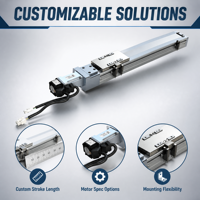 Module de glissière linéaire à vis à billes BSC6, actionneur linéaire électrique avec moteur pas à pas NEMA, rail compact haute rigidité pour machine CNC