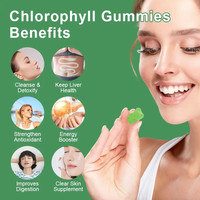 OLLI OEM/ODM/OBM Gummies véganes à la chlorophylle, chlorophylle de sodium et de cuivre pour booster l'énergie et détoxifier
