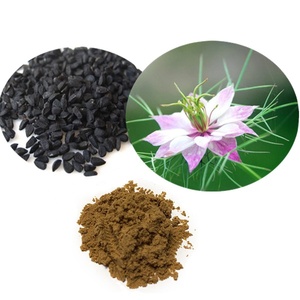 Bán Hàng Nóng Nigella Sativa Chiết Xuất CAS 490-91-5 Thymoquinone Bột Với Số Lượng Lớn - Product Image 1