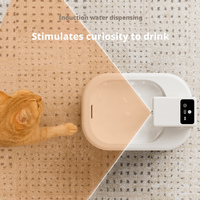 Fontaine à eau pour chat, système de filtration automatique à circulation, rechargeable par USB, en plastique durable, ultra-silencieux