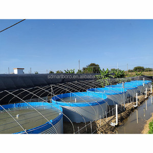 Grote Gespecialiseerde Landbouw Tilapia Meerval Zuid-Amerikaanse Garnalen Met Ronde Tankvis - Product Image 6