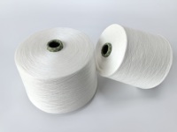 Fil à tricoter écologique Ne40/1 Siro Compact Spun 95% Birla Lyocell 5% Soie, fil mélangé, doux, pour vêtements de mode