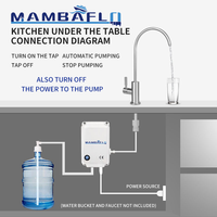 Distributeur de bouteilles à double baril 5 gallons 3.8LPM 110A AC Machine à glace pour café Pompe à eau potable portable de qualité alimentaire
