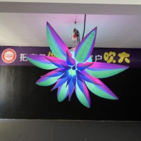 Décoration de scène : Combinaison de fleurs gonflables géantes lumineuses LED, merveilleuse fleur gonflable publicitaire, plante gonflable personnalisée
