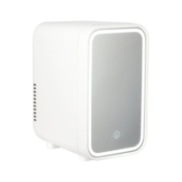 Mini-Réfrigérateur Portable OEM d'Usine 6L Parfait pour Chambre ou Bureau Cosmétiques, Miroir de Beauté Couleur Lumière LED Porte en Verre