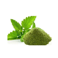 Poudre de menthe naturelle de haute qualité, qualité alimentaire, extrait d'herbes, emballage sous vide en fût