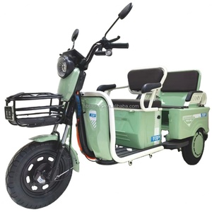 Productos de Alta Calidad, Nuevo Estilo, Triciclo Eléctrico de 3 Ruedas y 800 Vatios - Product Image 1