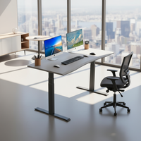 Bureau de direction moderne de luxe en acier, bureau d'ordinateur, cadre de bureau réglable en hauteur pour usage professionnel et domestique