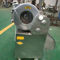 Industriële automatische groente- en fruit snijmachine voor uien, aardappelen, wortelen, aardbeien en paprika's.