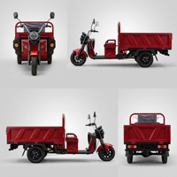 Tricycle électrique 1000W, capacité de charge lourde 400 kg, plateau ouvert, moto cargo à 3 roues pour transport adulte et livraison