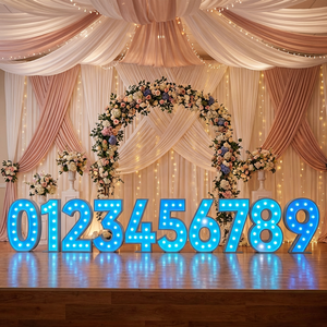 Numeri LED Neon Personalizzati da 3ft, 4ft, 5ft, Insegne Luminose 3D per Scuole e Decorazioni per Feste di Matrimonio - Product Image 5