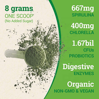 Compléments Nutritionnels à Marque Privée Vegan Superfood Super Green Powder avec Spiruline et Enzymes pour la Digestion et l'Énergie