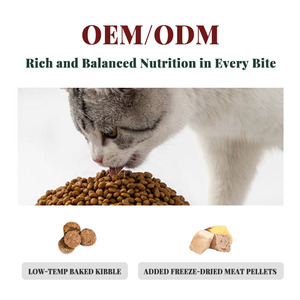 Nouvelle Formule 2026 Chine Aliment Sec Biologique pour Chat <span class=keywords><strong>Adulte</strong></span> Riche en Protéines, Faible en Matières Grasses, Sans Céréales, pour Digestion Sensible, Saveurs Variées, Sac - Product Image 5