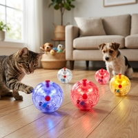 Balle de jeu transparente pour animaux de compagnie, résistante aux morsures, rechargeable, colorée, pour chien, pour mâcher, jouer et nettoyer les dents