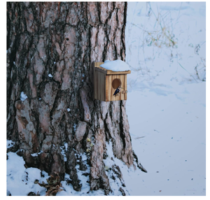 Luxury Solid Pattern Wooden <strong>Bird</strong> <strong>House</strong> and Nest for Patio Decoration and Aviary Feeder - Product Image 6