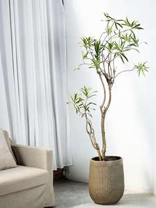 Baskom tanam bamboo, garis vertikal minimalis kelas atas lantai berdiri diameter besar magnesium lumpur bunga - Product Image 5