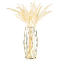 Weeyaeofa — vase losange en fer forgé doré, vase hydroponique en verre, ornements pour la décoration de la maison ou du bureau