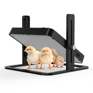 Nouvelle plaque chauffante électrique améliorée pour animaux de compagnie couveuse poulet plaque chauffante hauteur réglable pour canetons petit animal de compagnie-noir - Product Image 4