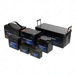 Pacco batteria al litio 12V 20AH con scatola portatile per batterie al litio per auto elettriche/RV 12V 20AH