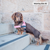 Harnais pour chien rose sans traction avec poignée facile à enfiler Sangles réglables rembourrées réfléchissantes Harnais pour animaux de compagnie pour grands chiens